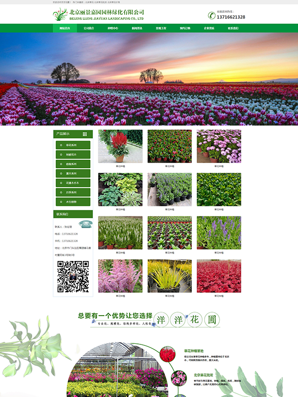 1703753511846418.png 网站设计制作.png